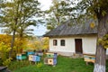 Small apiary with colorful hives in a yard of old country house in rural area, cloudy autumn day, green tourism