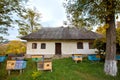 Small apiary and colourful hives in a yard of old, shabby country house, front view, green ecological tourism