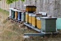 A small apiary near the wall Royalty Free Stock Photo