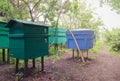 A small apiary in the summer Royalty Free Stock Photo