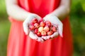 Small apples in women`s hands