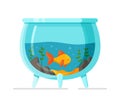 A small aquarium with goldfish isolated on a white background. Royalty Free Stock Photo