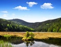 Small Arber Lake Royalty Free Stock Photo