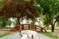 A small arch bridge over decorated canal pond in garden park city surrounded by maple tree canopy and Autumn color red flower and Royalty Free Stock Photo