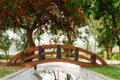 A small arch bridge over decorated canal pond in garden park city surrounded by maple tree canopy and Autumn color red flower and Royalty Free Stock Photo