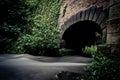 Small arched tunnel through viaduct