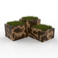 3D model complex flower pot Carolina