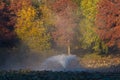 Small Artesian Fountain Surrounded by Colourful Vegetation