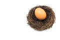 The small artificial bird nest with egg Royalty Free Stock Photo