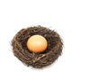 The small artificial bird nest with egg Royalty Free Stock Photo