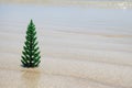 Small artificial Christmas tree on the white sand beach on the background of blue sky. Royalty Free Stock Photo