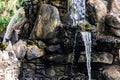 A small artificial freshwater waterfall that flows into a common Living pond. Plot structure with green moss and vegetation.