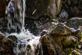 A small artificial freshwater waterfall that flows into a common Living pond. Plot structure with green moss and vegetation.