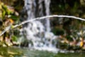 A small artificial freshwater waterfall that flows into a common Living pond. Plot structure with green moss and vegetation.