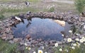 A small artificial pond made in the garden. Around planted daisies. Go near the pigeons.