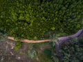 Small asphalt and dirt roads in dark green forest Royalty Free Stock Photo