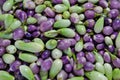 Small aubergines Royalty Free Stock Photo