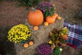 Fall Display with Pumpkins, Flowers, and Flannel Royalty Free Stock Photo