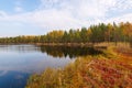 Small autumn lake