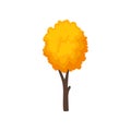 Small autumn tree with yellow-orange leaves. Young forest plant. Nature theme. Flat vector icon