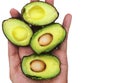Small avocado cutting in piece on hand, green healthy fruit holding in hand, has copy space in white background.