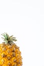 Small Azorean pineapple in white background with copy space