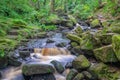 A small babbling brook in summer