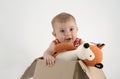 Small baby girl in a box with teddies