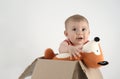 Small baby girl in a box with teddies