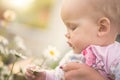 Small baby girl holding a daisy in her hand Royalty Free Stock Photo