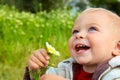 Small baby laughing with daisy Royalty Free Stock Photo