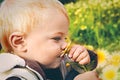 Small baby smelling daisy