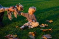 Small baby toddler on sunny autumn day walk with dog. Warmth and coziness. Happy childhood. Sweet childhood memories Royalty Free Stock Photo