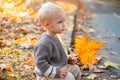 Small baby toddler on sunny autumn day. Warmth and coziness. Happy childhood. Sweet childhood memories. Child autumn Royalty Free Stock Photo