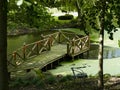 Wooden deck on a relaxing green pond in a garden