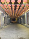 A small backalley in Beijing, with lines of red lanterns Royalty Free Stock Photo