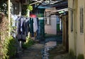 Small backyard with picturesque houses