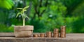 Small bag with a plant, stacked coins. The concept of financial growth, saving money. Royalty Free Stock Photo