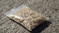 A small bag of sawdust and maggots. Live bait for fishing. Fly larvae are good bait for catching any fish. Fishing. The topic is Royalty Free Stock Photo