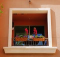 Small balcony with flower container in a new apartment complex