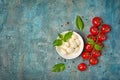 Small balls mozzarella cheese with Cherry tomatoes and basil Royalty Free Stock Photo