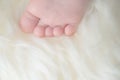 Small bare feet of a little baby girl or boy. Royalty Free Stock Photo