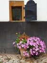 Small basement window, flowers in front, Rimetea