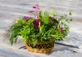 A small basket with healing herbs.