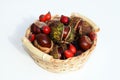 Small basket with horse chestnuts and rose hips Royalty Free Stock Photo