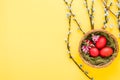 Small basket with red Easter eggs, swelled willow buds on yellow background