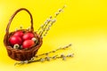 Small basket with red Easter eggs, swelled willow buds on yellow background