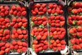 small basket of red ripe strawberries for sale in the greengroce Royalty Free Stock Photo