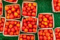Cherry Tomatoes for Sale at a Local Farmers Market Royalty Free Stock Photo