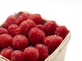 Close up of a pint of raspberries on white Royalty Free Stock Photo